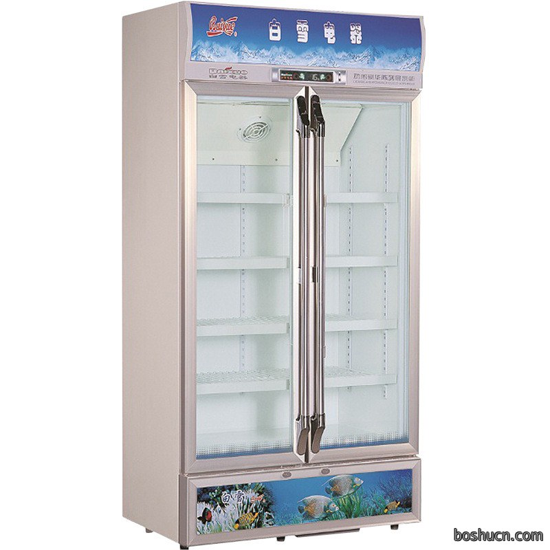 白雪展示柜商用双门饮料陈列柜